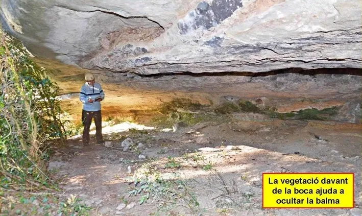 Fotografia de FIGUERA, BALMA DE LA (2 de 4)