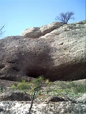 Fotografía de ABELLEROLS, COVA D' (1 de 1)