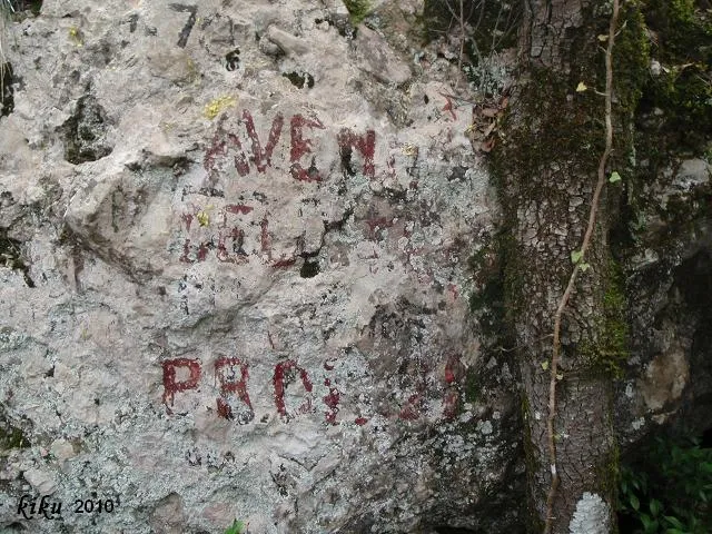 Fotografia de TEIX, AVENC DEL (1 de 2)