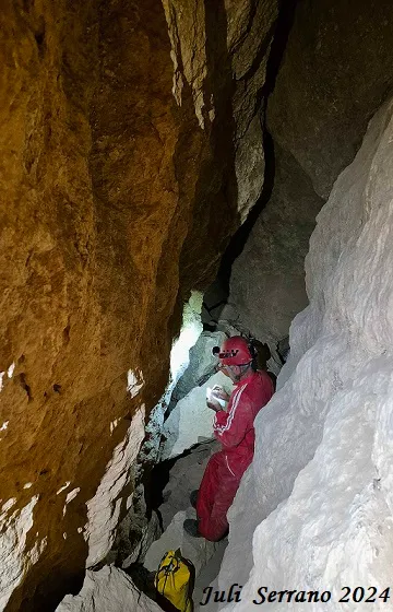 Fotografia de CINGLE DELS PINS ALTS, COVA DEL (6 de 8)