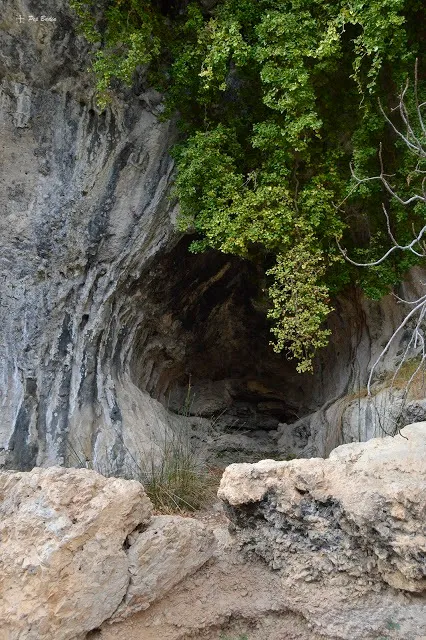 Fotografia de BOUS, COVA DELS (2 de 2)