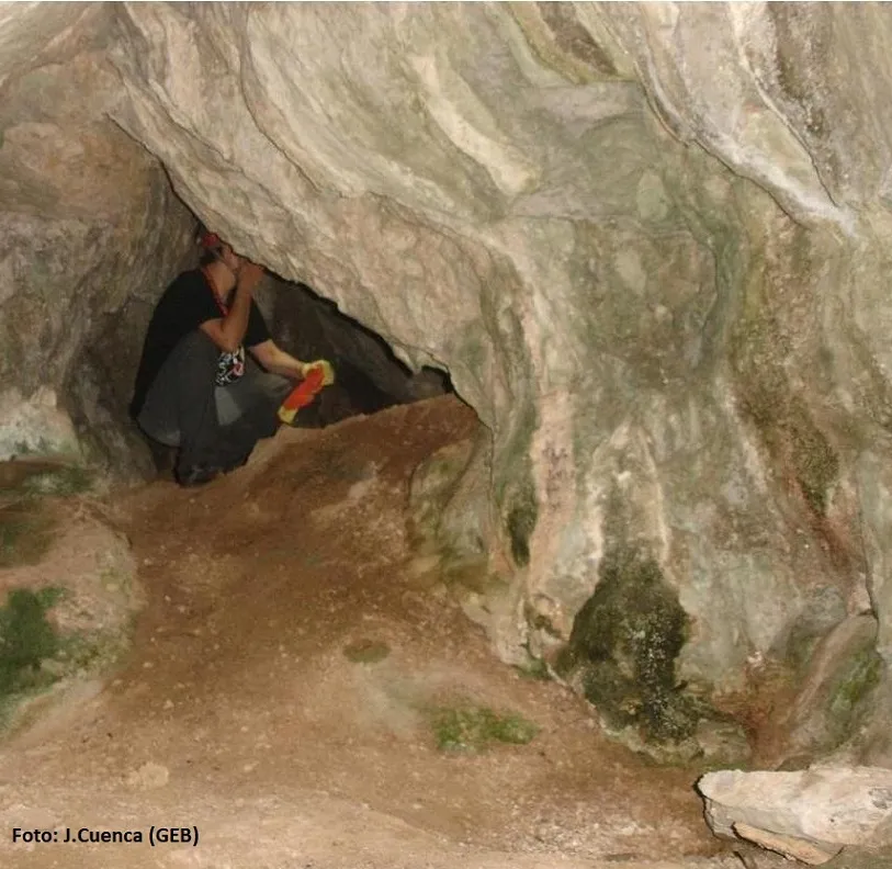 Photograph of CARXOL, COVA DEL (4 of 5)
