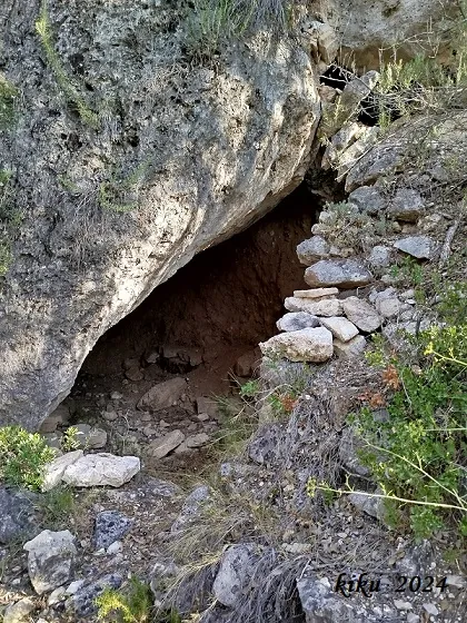 Photographie de CAMÍ DE LA RIBA, COVA DEL (1 sur 3)