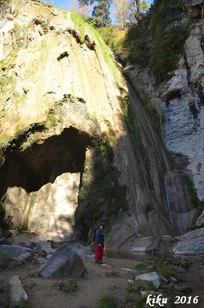 Fotografía de SALT DEL MIR, COVA DEL (3 de 3)