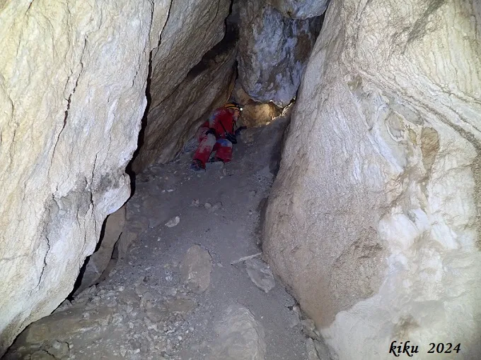 Fotografia de MATA, COVA D'EN (7 de 13)