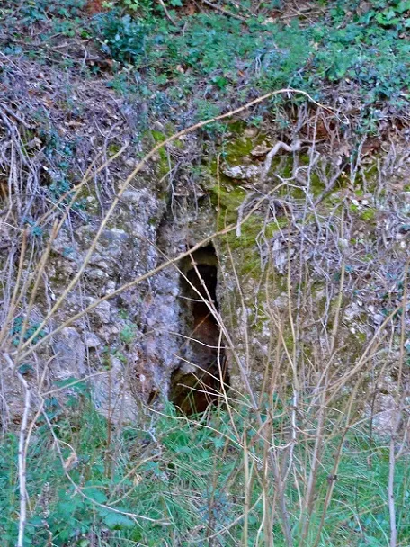 Fotografía de TOIXÓ, COVA DEL (1 de 1)