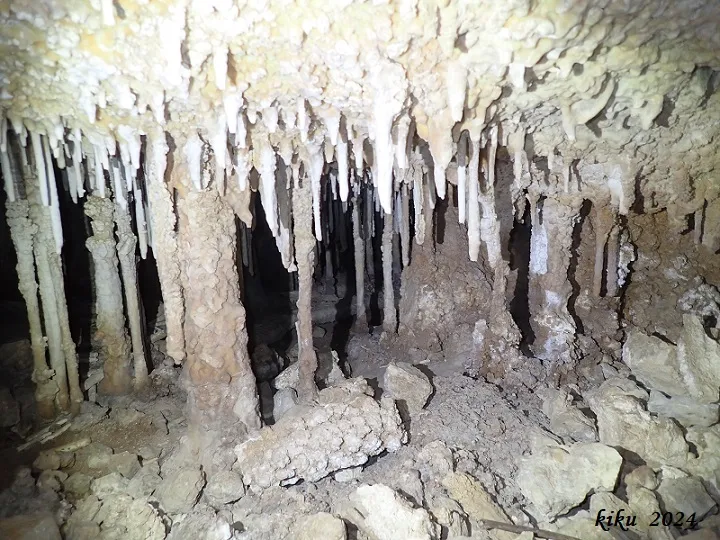Photograph of CEM, FORAT DEL (13 of 15)