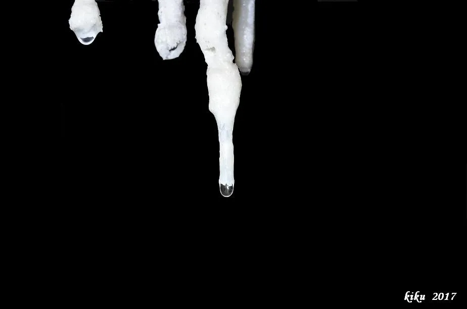 Photographie de MORT, COVA DEL (13 sur 13)