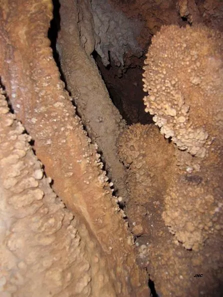 Photograph of ESTRET, FORAT (5 of 5)