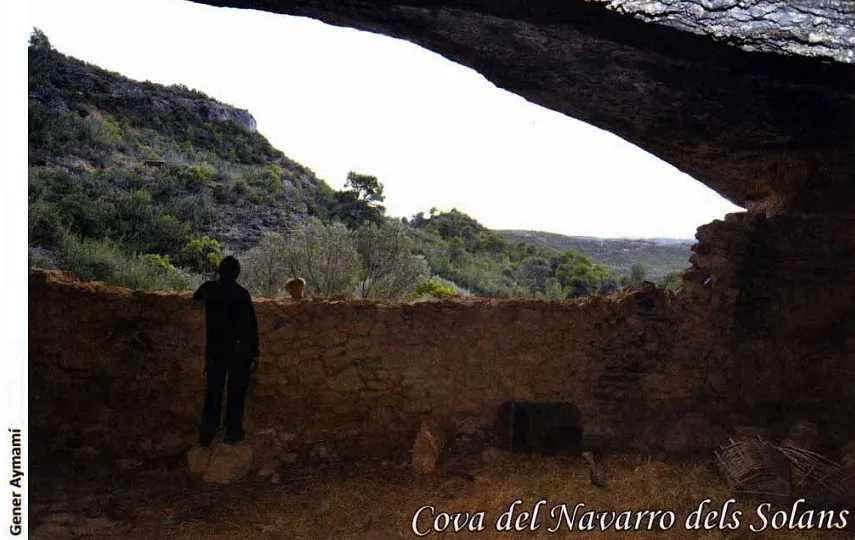 Fotografia de NAVARRO DELS SOLANS, COVA DEL (3 de 3)