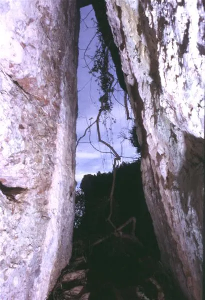 Fotografía de CABRAFIGA, COVA DE LA (2 de 2)