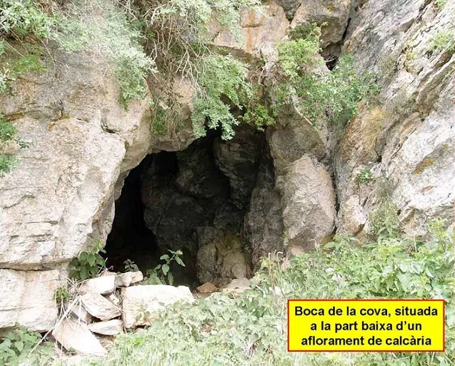 Photograph of VIDABONA, COVA D'EN (1 of 7)