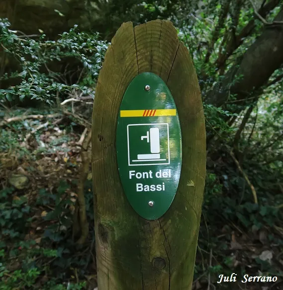 Fotografia de FONT DEL BASSI, BALMA DE LA (1 de 5)