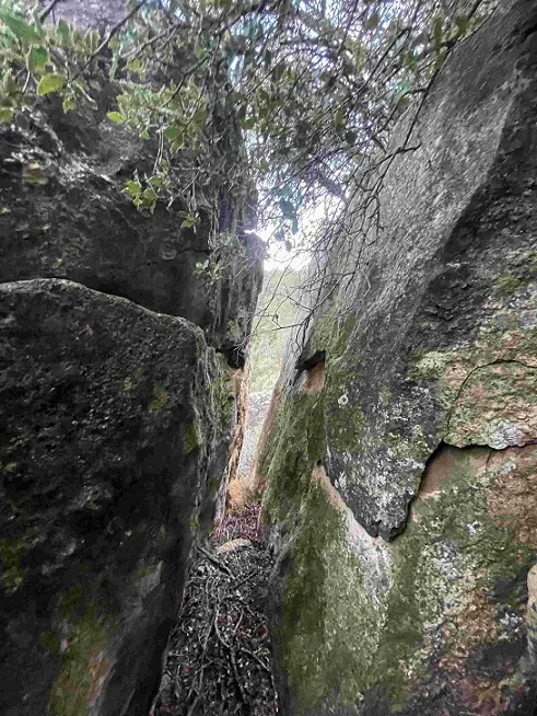 Photographie de RIU SET, ESQUERDA DEL (4 sur 8)