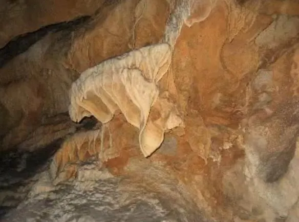 Photograph of DOMINGO GRAU, COVA D'EN (4 of 7)