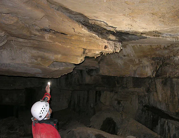 Photograph of TEIXIDORS, BORA DELS (6 of 8)