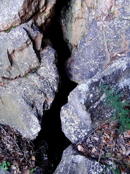 Fotografia de MALESA, AVENC DE LA (1 de 1)