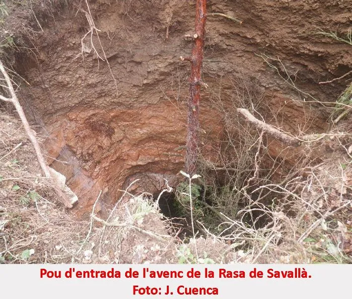 Fotografia de RASA DE SAVALLÀ, AVENC DE LA (2 de 5)