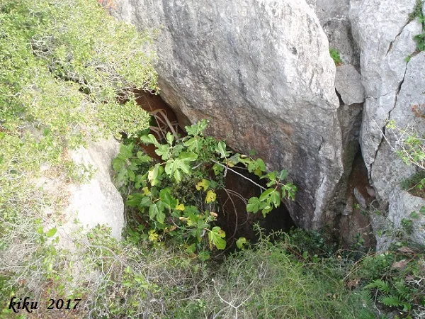 Photograph of CÒRREC DE LES GUILLES, CAU DEL (1 of 2)