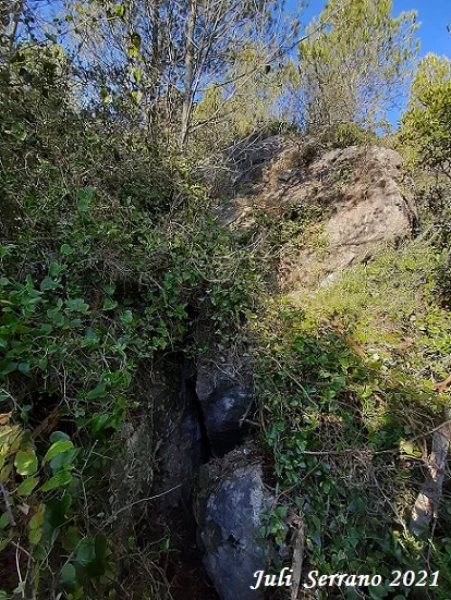 Fotografia de SERRA DEL MAS, COVA SM-16 DE LA (1 de 9)
