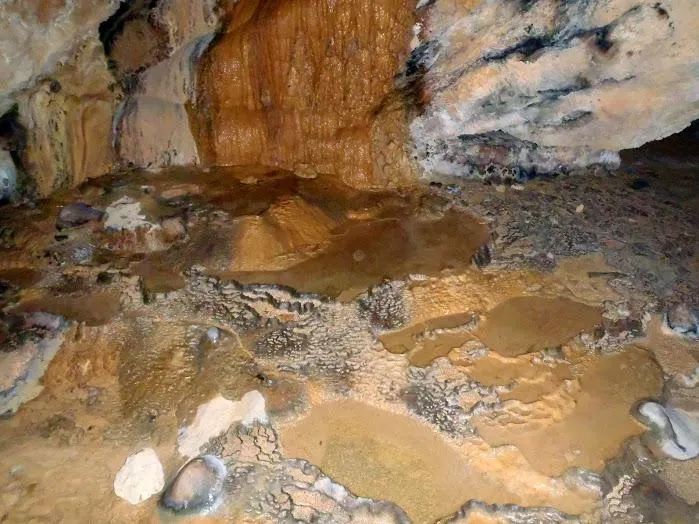 Fotografía de CABRERA, COVA (3 de 4)