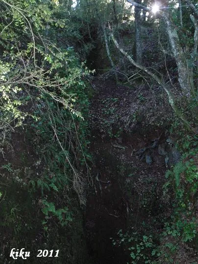 Fotografía de LOCAL, AVENC (1 de 2)