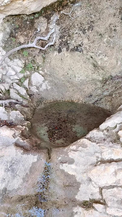 Fotografia de COMARQUES, COVA DE LES (5 de 5)