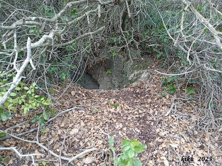 Fotografia de COMA D'EN BEPO, FORAT DE LA (1 de 3)