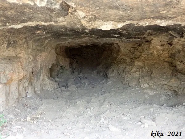 Fotografía de OLOPTE, COVA D D' (4 de 4)