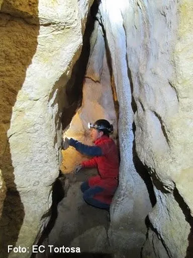 Fotografia de PRATS, COVA DELS (6 de 8)