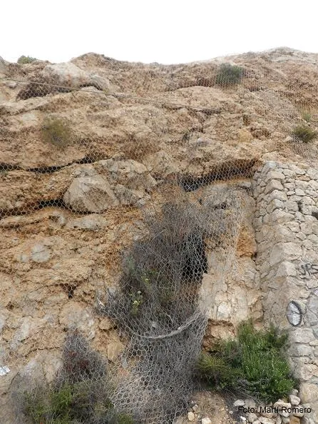 Fotografia de PUNTA GROSSA, COVA DE LA (3 de 7)