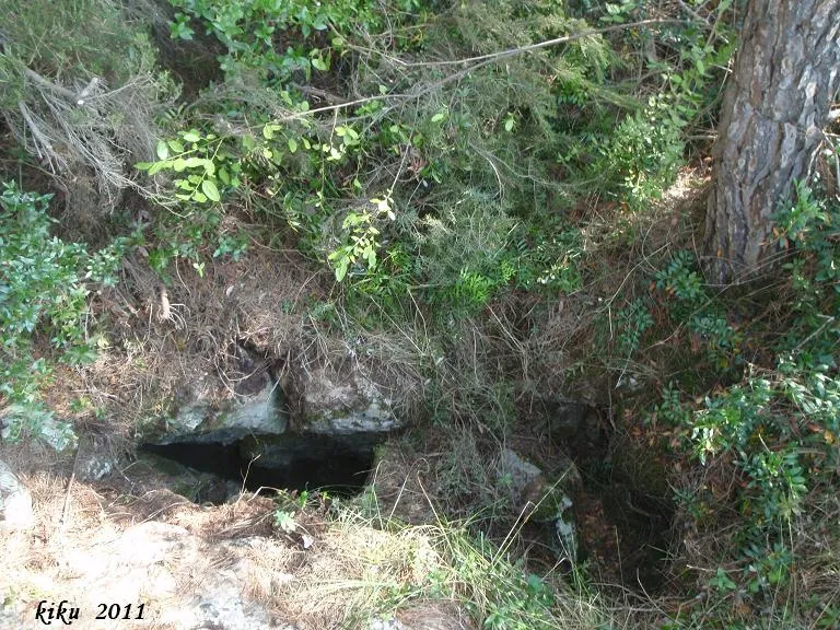 Fotografía de E.D.E.S., AVENC (2 de 3)