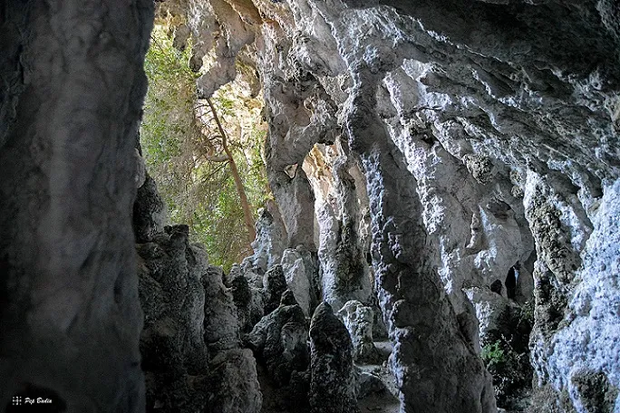 Fotografia de ÀNGELS, COVA DELS (5 de 6)