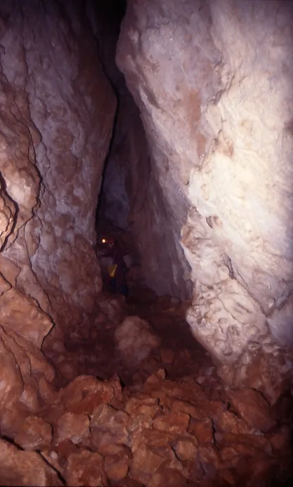 Fotografia de PAÚS,  QUERANT PETIT DE (1 de 3)