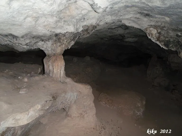 Photographie de BOLET, COVA DEL (6 sur 8)