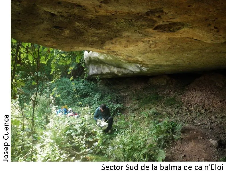 Fotografía de CA N'ELOI, BALMA DE (2 de 2)