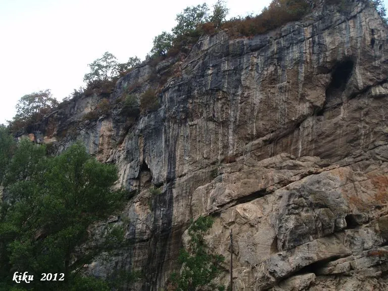 Photographie de RIBES, COVES DE (1 sur 3)