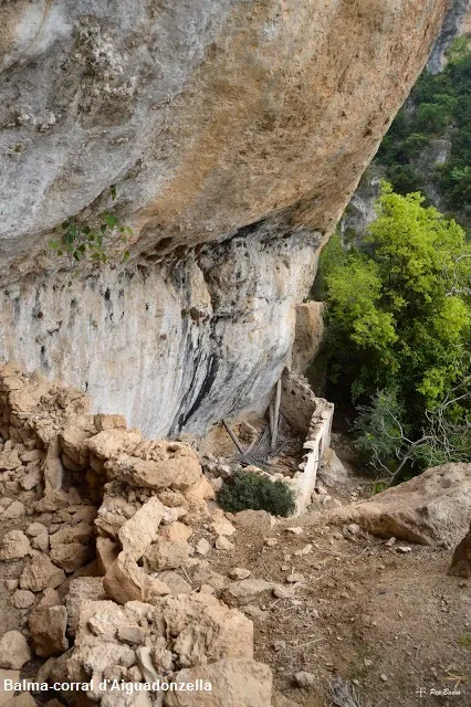 Fotografia de AIGUADONZELLA, COVES D' (1 de 5)