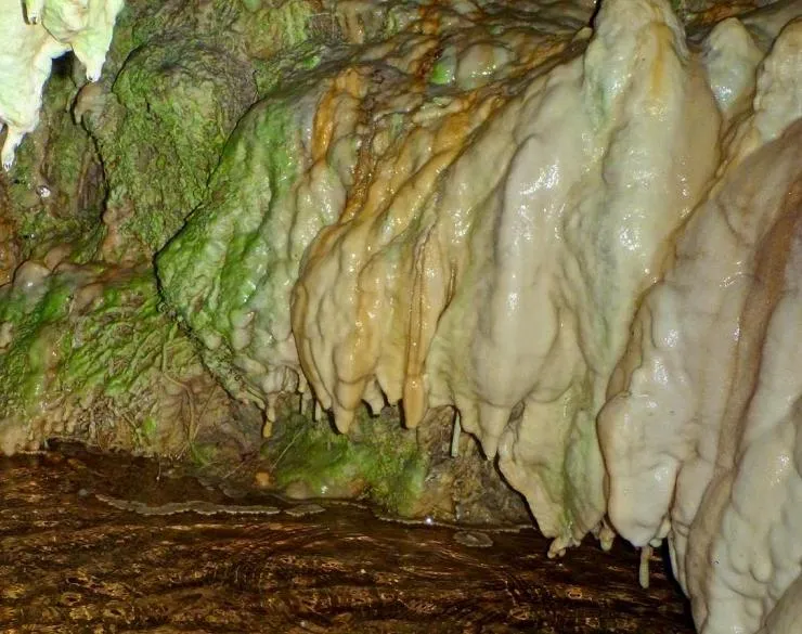 Photographie de FONT DELS CAPELLANS, COVA DE LA (4 sur 4)