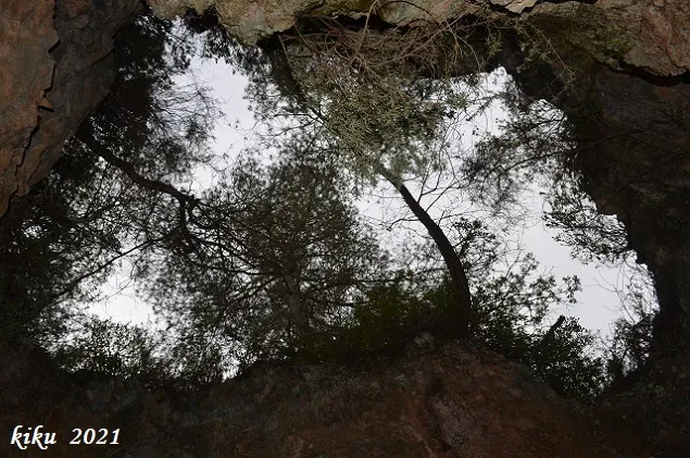 Photographie de COLL VERDEGUER, AVENCÓ DE (6 sur 6)