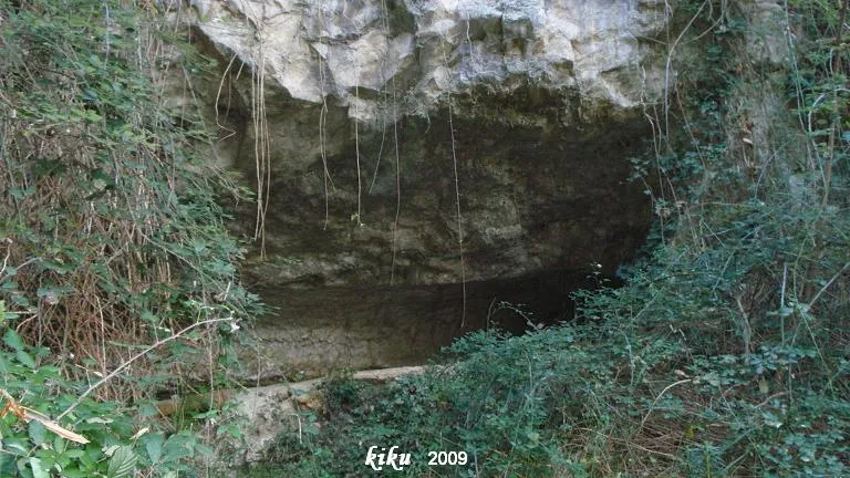 Fotografia de MOSQUERA, COVA DE LA (1 de 4)
