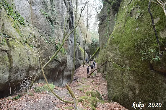 Fotografia de BARÓ, COVA DEL (1 de 2)