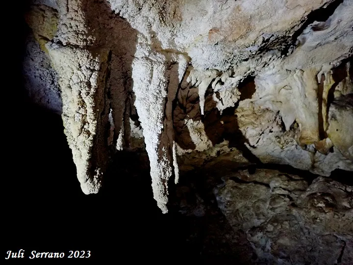 Photographie de SENSE NOM, COVA (5 sur 8)