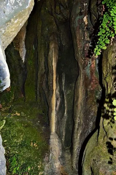 Photographie de MOLÍ BERNAT, COVA DEL (5 sur 5)