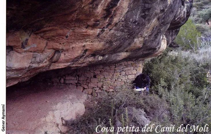 Fotografia de CAMÍ DEL MOLÍ, COVA PETITA DEL (2 de 3)