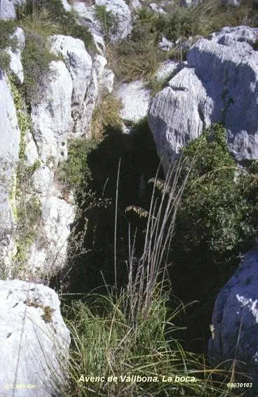 Photographie de VALLBONA, AVENC DE (2 sur 5)
