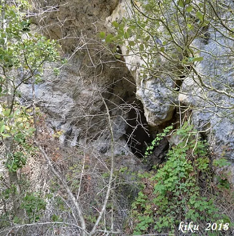 Fotografía de ESCUDELLETA, COVA Nº2 DE L' (2 de 6)