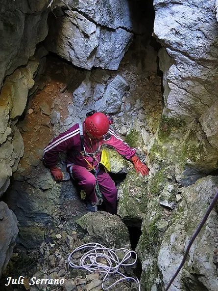 Photographie de PARDINA, GRALLER Nº1 DE LA (4 sur 5)