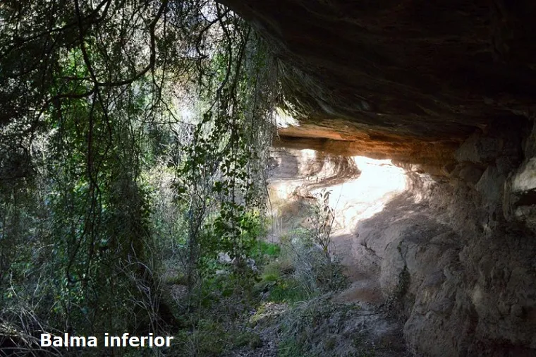 Photograph of FONT DELS BOUS, BALMES DE LA (5 of 5)