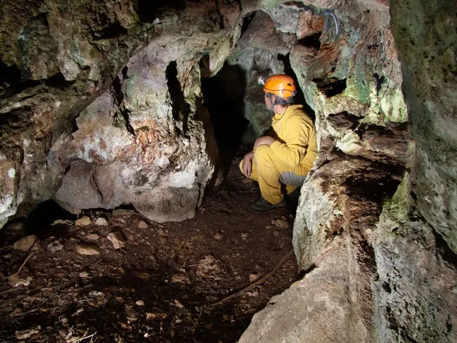 Fotografia de TOIXÓ, COVA DEL (2 de 5)